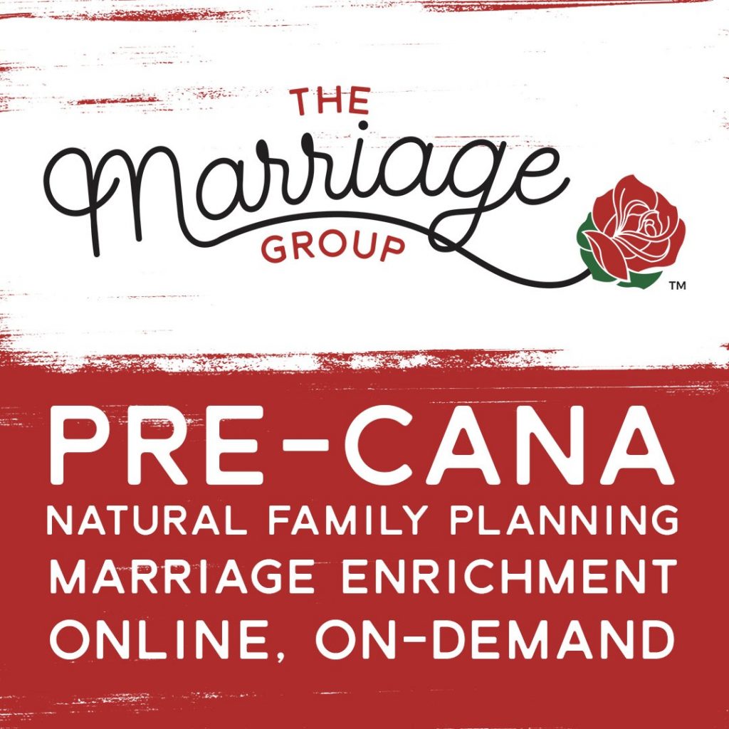 The Catholic Pre Marriage Course: Navigating the Journey Through Pre Cana